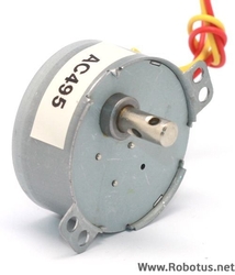  - 220V 20 Rpm AC Senkron Motor