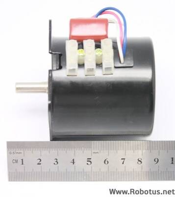 220V 5 Rpm AC Senkron Motor