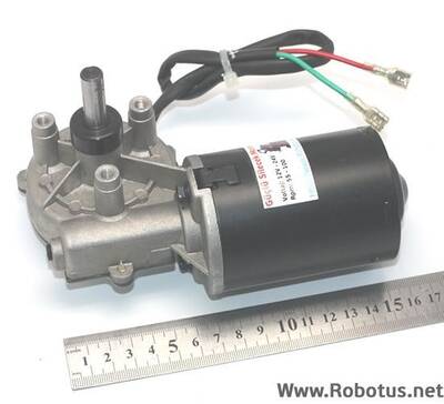 Cam Silecek Motoru 24V 55 Rpm