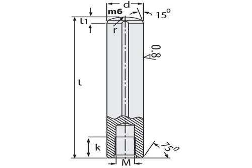 Çektirmeli Tespit Pimi Ø12mm Çap 120mm Uzunluk