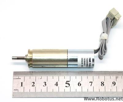 Faulhaber Mikro Dc Motor (485:1)