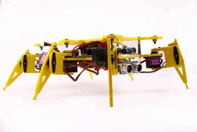 Örümcek Robot - Spider Robot (Montajlı)