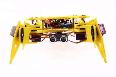 Örümcek Robot - Spider Robot (Montajlı)