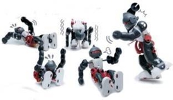 Tumbling Robot - Devrilmeyen Robot - Thumbnail